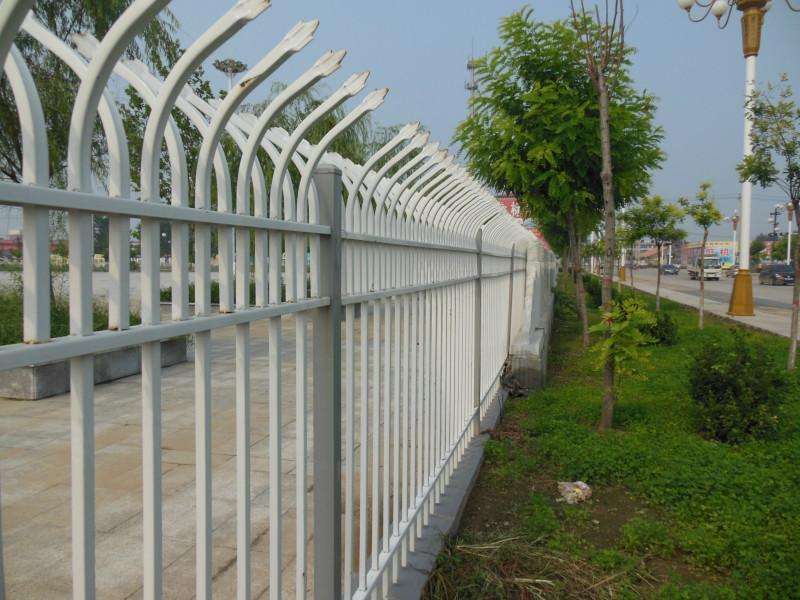 護欄網,市政護欄網,欄網廠家