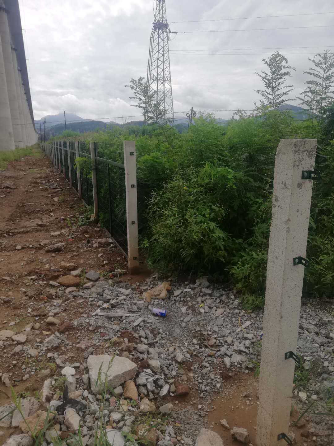 護欄網,市政護欄網,欄網廠家