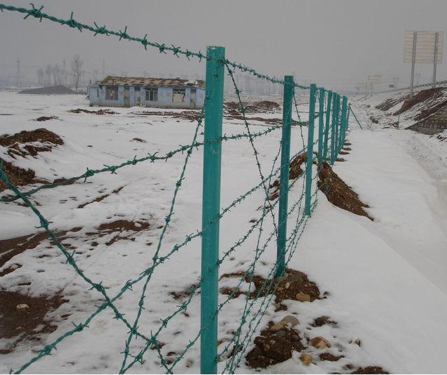 護欄網,市政護欄網,欄網廠家