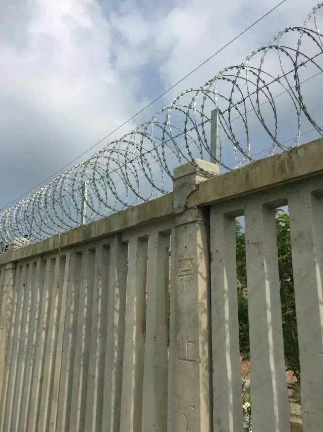 1565357426483650.jpg 護欄網,市政護欄網,欄網廠家