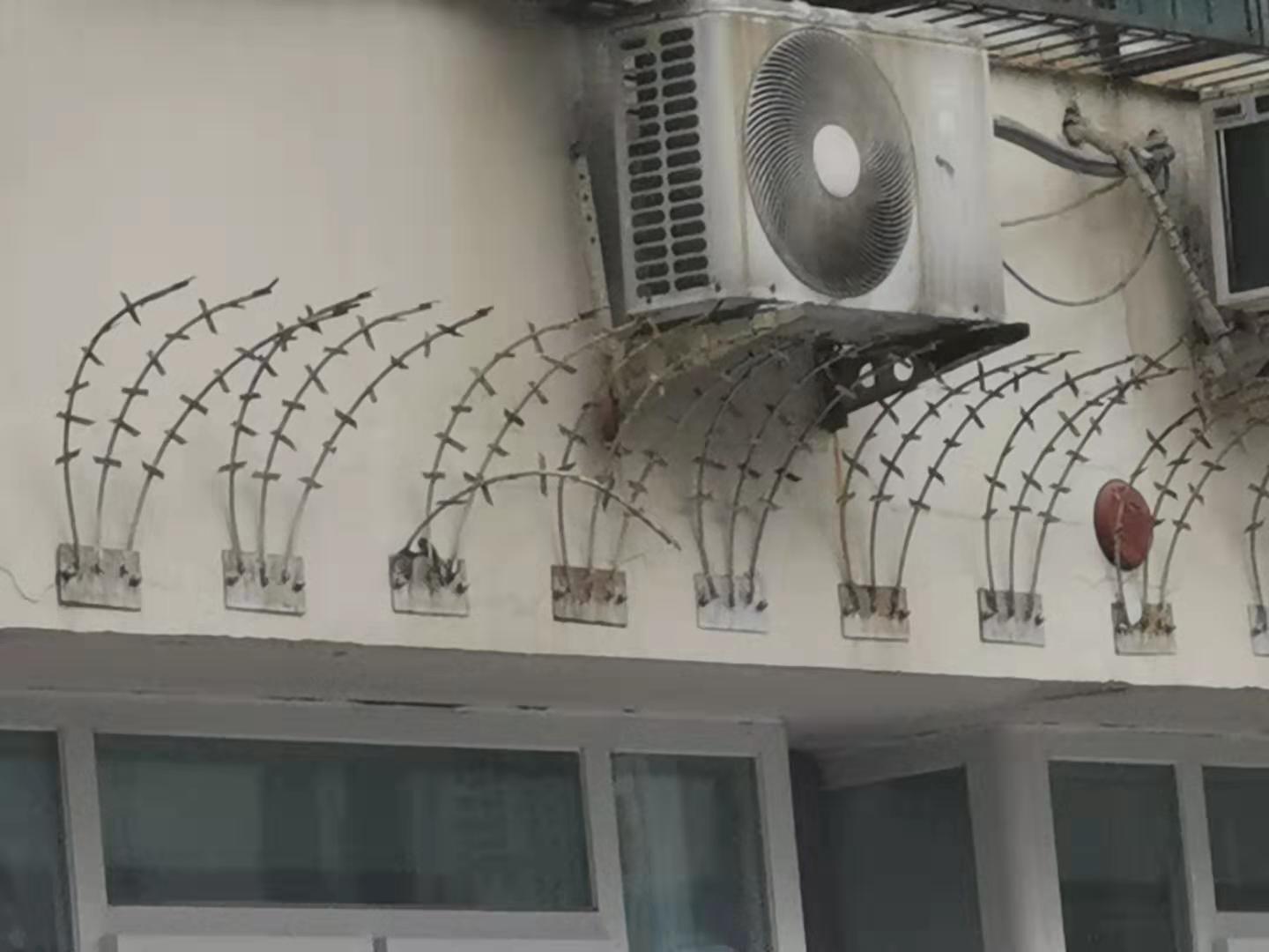 1568931447856738.jpg 護欄網(wǎng),市政護欄網(wǎng),欄網(wǎng)廠家