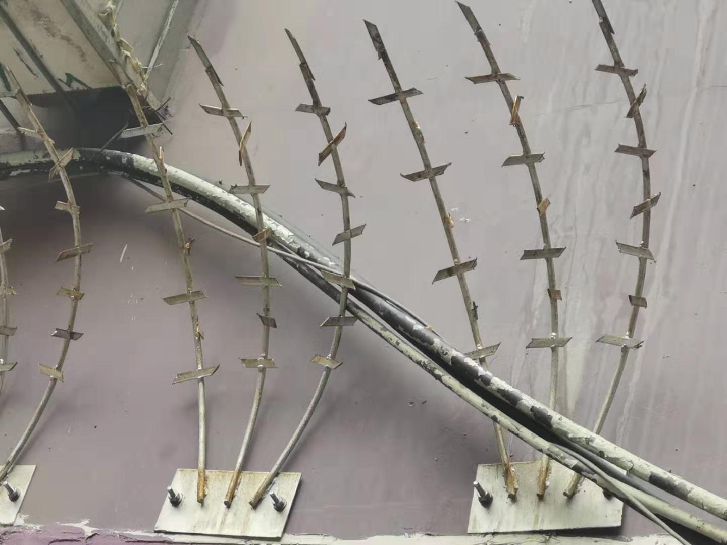 1568931447942322.jpg 護欄網(wǎng),市政護欄網(wǎng),欄網(wǎng)廠家