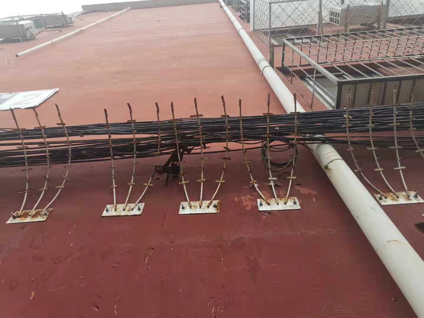 1568931447950083.jpg 護欄網(wǎng),市政護欄網(wǎng),欄網(wǎng)廠家