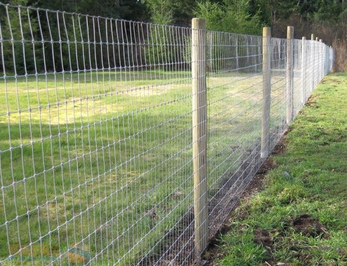 放牧圍欄 放牧圍欄